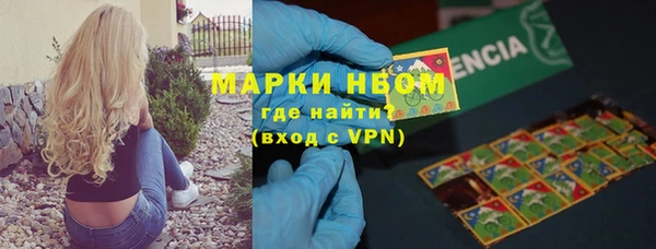 дмт Алзамай