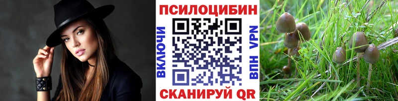 Псилоцибиновые грибы ЛСД  Дно 