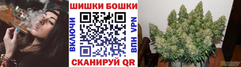 где купить   Дно  Бошки марихуана семена 